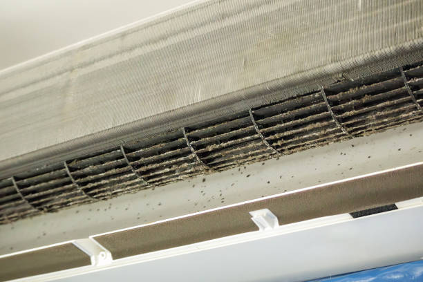 Best Air Duct Cleaning Near Me  in Chapel Hill, TN