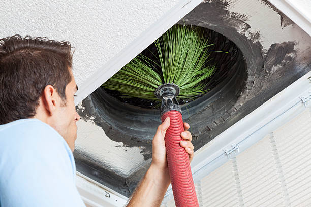 Best Residential Air Duct Cleaning  in Chapel Hill, TN