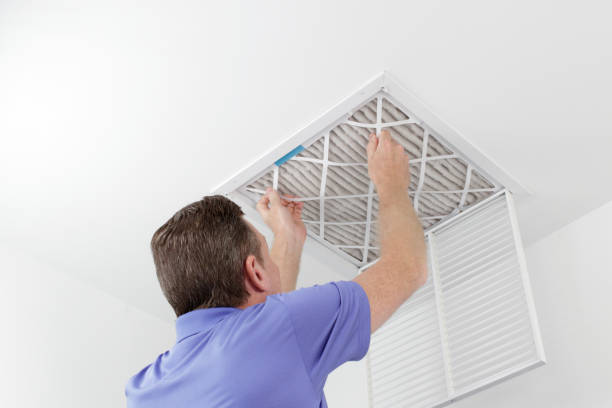 Best Affordable Air Duct Cleaning  in Chapel Hill, TN